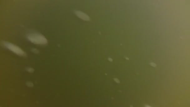 Nuages dans le ciel. Timelapse. Prise de vue de Timelapse .