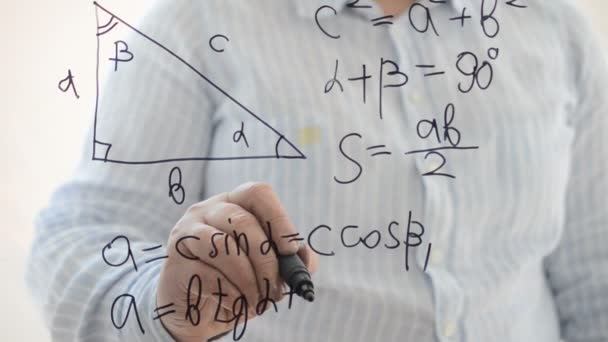 Pisagor Teoremi Dikdörtgen Bir Üçgenin Özellikleri Bir Kalemle Yazıyoruz — Stok video