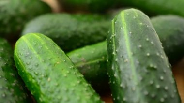 Salatalıklar tahtada. Harekette çekim..