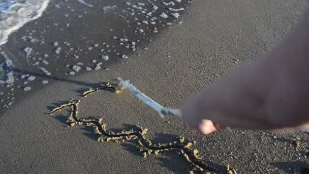Sol Desenhar Praia Praia Desenho — Vídeo de Stock