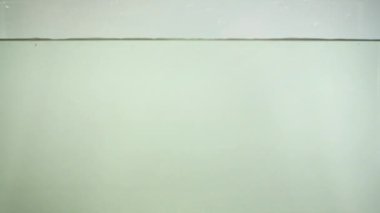 Suda domates ve kiraz domatesleri. Yavaş çekim.