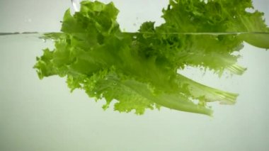 Marul yaprakları ve kiraz domatesleri suya düşer. Yavaş çekim.