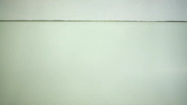 Tavuk yumurtaları suya düşer. Yavaş çekim.