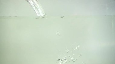 Bıldırcın yumurtaları suya düşer. Yavaş çekim.