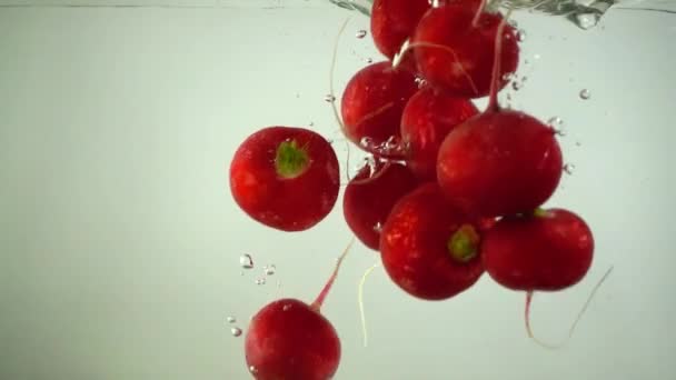 Vruchten Van Een Tuin Radijs Het Water Langzame Beweging — Stockvideo