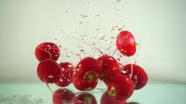 Los Frutos Del Rábano Jardín Agua Movimiento Lento — Vídeo de stock