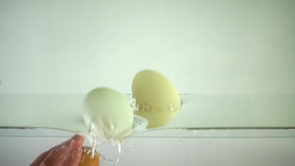 Huevos Pollo Agua Movimiento Lento — Vídeo de stock