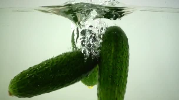 Pepinos Agua Movimiento Lento — Vídeos de Stock
