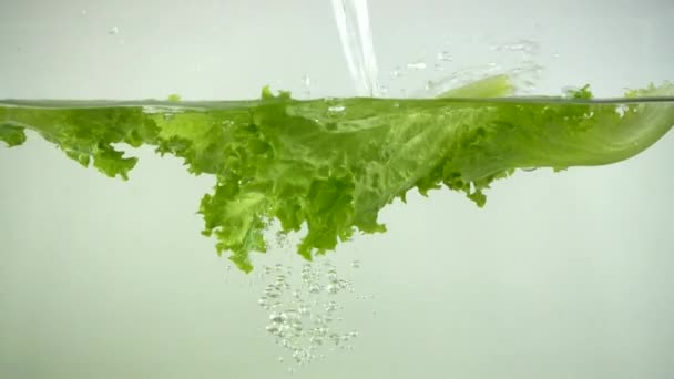 Salatblätter Fallen Ins Wasser Zeitlupe — Stockvideo