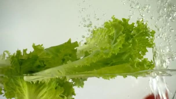Frunzele Salată Verde Roșiile Cherry Apă Slow Motion — Videoclip de stoc