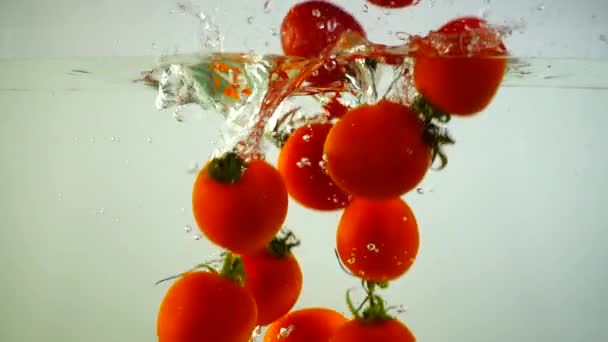 Los Tomates Cherry Caen Agua Movimiento Lento — Vídeos de Stock