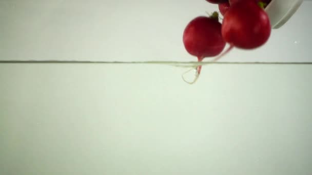 Φρούτα Από Ραπανάκια Κήπου Πέφτουν Στο Νερό Αργή Κίνηση — Αρχείο Βίντεο