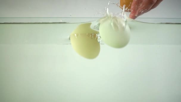 Los Huevos Pollo Caen Agua Movimiento Lento — Vídeos de Stock
