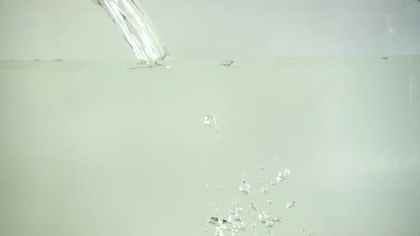 ウズラの卵は水に落ちる スローモーション — ストック動画