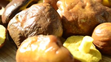 Orman mantarları, Suillus. Mantarların geçmişi. Harekette çekim..