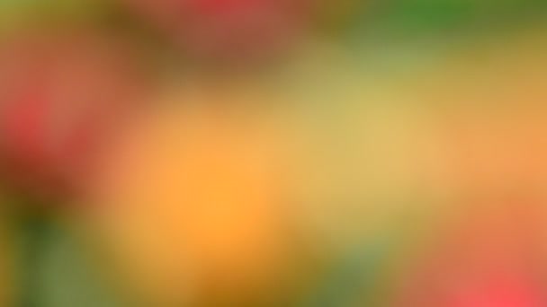 Des jouets du Nouvel An. Hors de propos. Tir dans le mouvement .