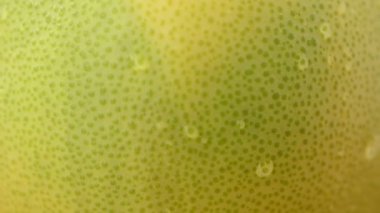 Fruit Pamela, video. Harekette çekim..