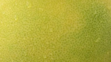 Fruit Pamela, video. Harekette çekim..