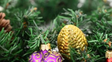 Firavun ağacı hala yaşıyor, Noel. Harekette çekim..
