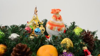 Firavun ağacı hala yaşıyor, Noel. Harekette çekim..