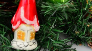 Firavun ağacı hala yaşıyor, Noel. Harekette çekim..