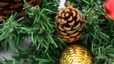 Firavun ağacı hala yaşıyor, Noel. Harekette çekim..
