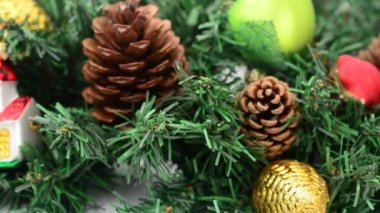 Firavun ağacı hala yaşıyor, Noel. Harekette çekim..