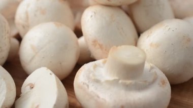 Tahtadaki mantarlar. Taze şampiyonlar.