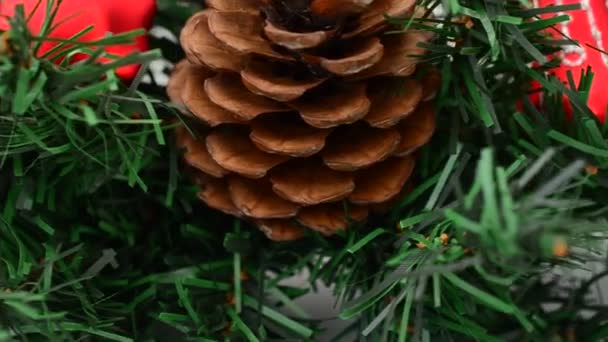 Fir Tree Stilleven Kerstmis Schieten Beweging — Stockvideo