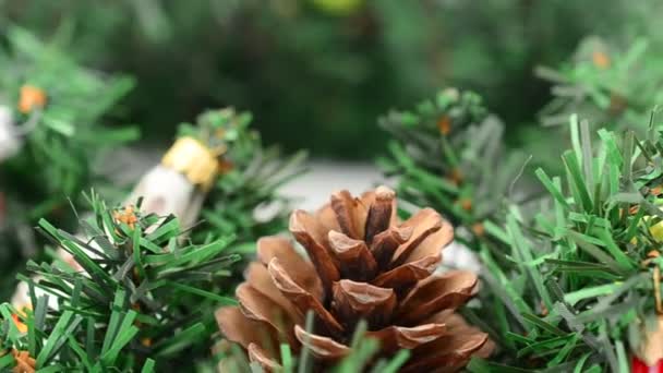 Firavun Ağacı Hala Yaşıyor Noel Harekette Çekim — Stok video