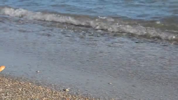 Mannequin Bois Sur Plage Tournage Sur Plage — Video