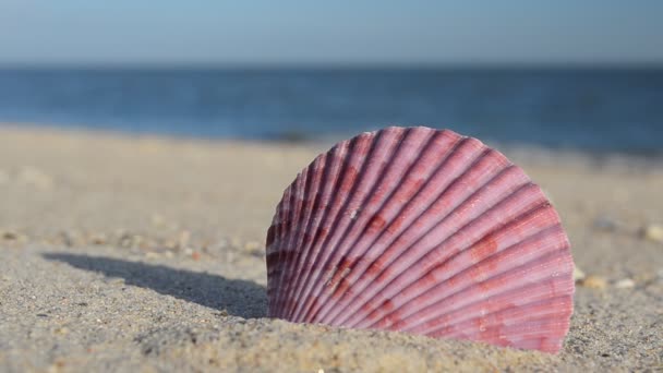 Коктейлі Піску Тлі Хвиль Зйомки Пляжі — стокове відео