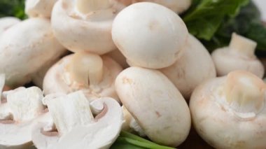 Tahtadaki mantarlar. Taze şampiyonlar.