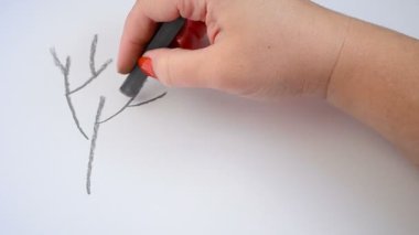 Ağaç çiziyoruz. Çizim süreci.