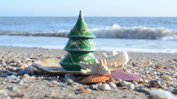 Abeto Año Nuevo Playa Tiro Playa Del Mar — Vídeos de Stock