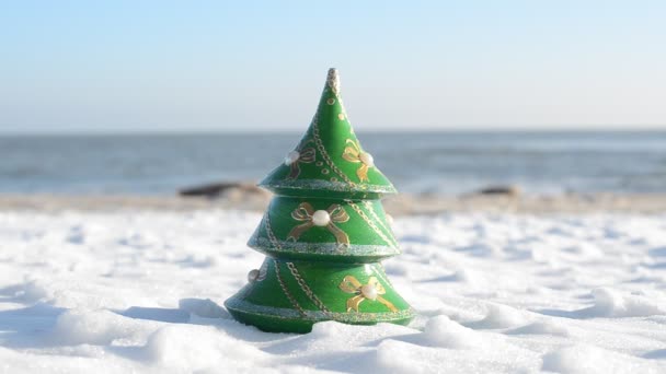 Neujahrstanne Strand Schießen Meeresstrand — Stockvideo