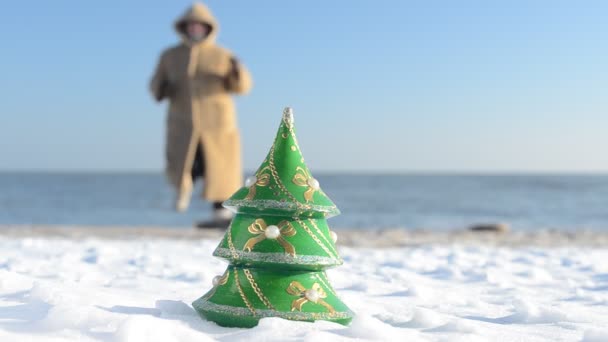 Abete Anno Nuovo Sulla Spiaggia Riprese Sulla Spiaggia Del Mare — Video Stock