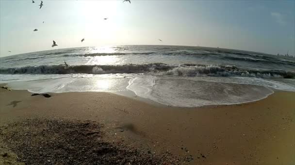 Pemandangan Laut Gerakan Lambat Laut Dan Gelombang — Stok Video