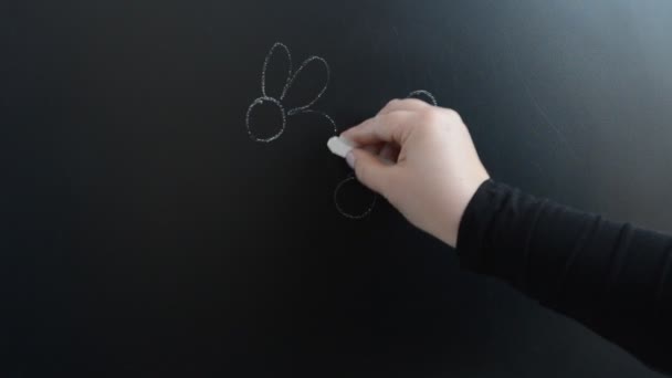 Dibujamos Las Flores Manzanilla Tiza Sobre Tabla Escribimos Con Tiza — Vídeo de stock