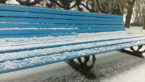 Bänk Parken Det Snöar Skjuter Parken Långsamma Rörelser — Stockvideo