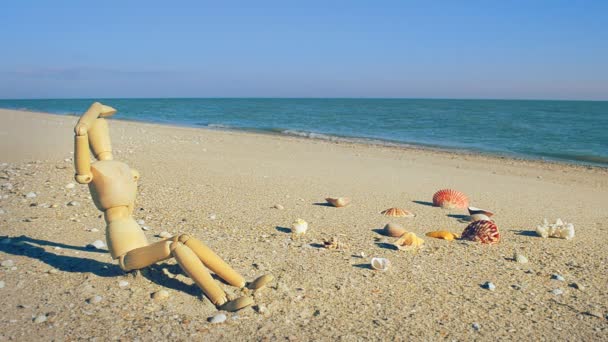 Houten Pop Het Strand Schieten Het Strand — Stockvideo