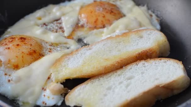 Freímos Huevos Fritos Sándwiches Disparos Cocina Proceso Preparación Del Plato — Vídeo de stock