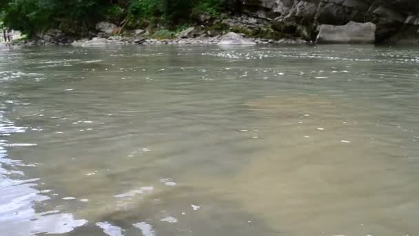 マウンテン川だ 石と水 — ストック動画
