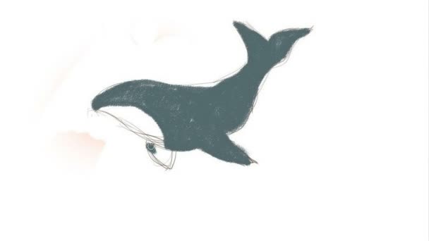 Digital Drawing Draw Killer Whale Time Lapse Draw Killer Whale — Stock Video