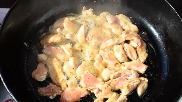 タイ語で鶏肉 鋳鉄製フライパンで調理します — ストック動画
