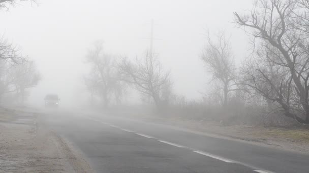 Дорога Тумане Машина Туман Дорога — стоковое видео