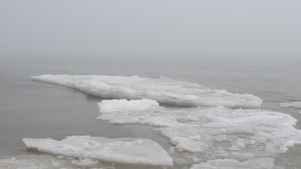 Niebla Hielo Mar Disparos Invierno — Vídeo de stock