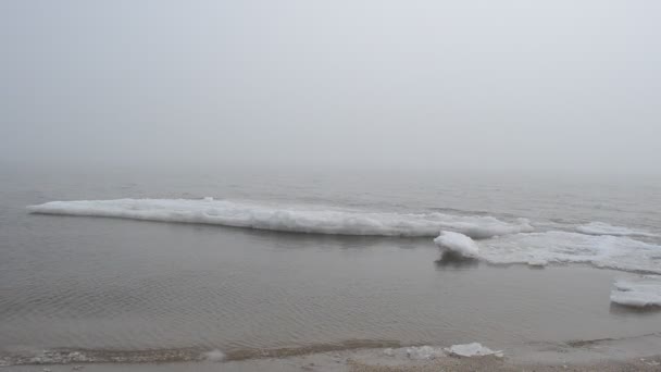 Niebla Hielo Mar Disparos Invierno — Vídeo de stock