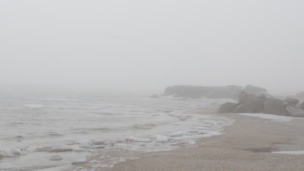 Niebla Hielo Mar Disparos Invierno — Vídeos de Stock