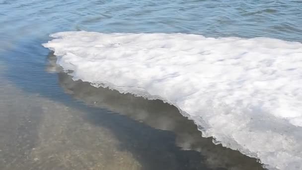 海の中の氷の流れ 海での春の始まり — ストック動画